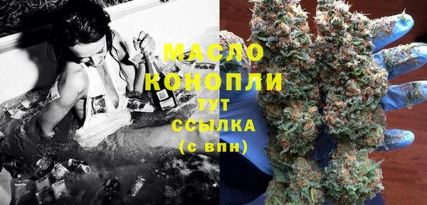 гидра Вязьма