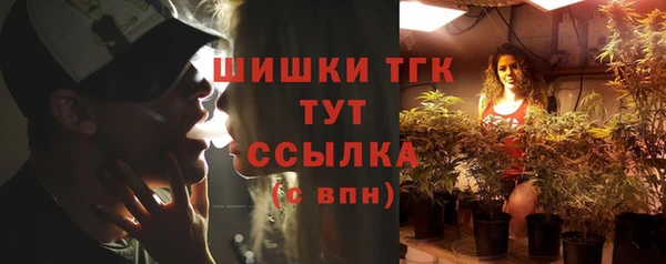 гидра Вязьма