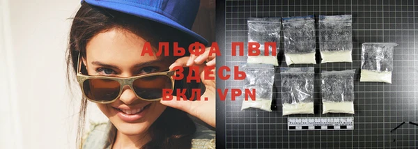 гидра Вязьма