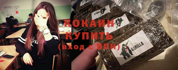 гидра Вязьма