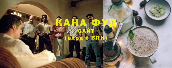 гидра Вязьма