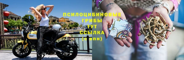 крисы Горно-Алтайск