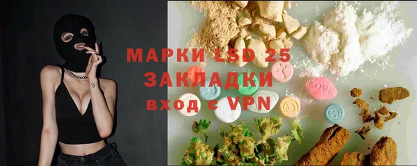 гидра Вязьма