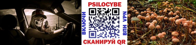 Галлюциногенные грибы мухоморы  что такое   Мценск 