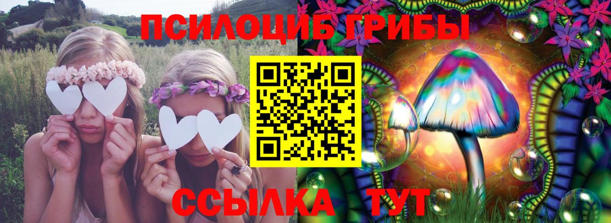 Галлюциногенные грибы MAGIC MUSHROOMS Мценск